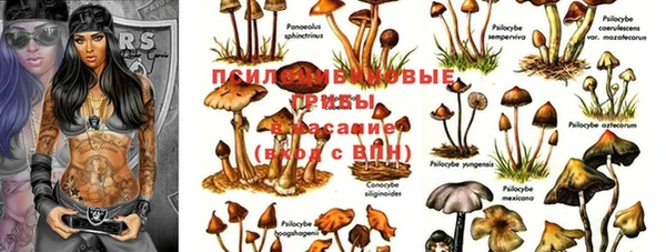 метамфетамин Няндома